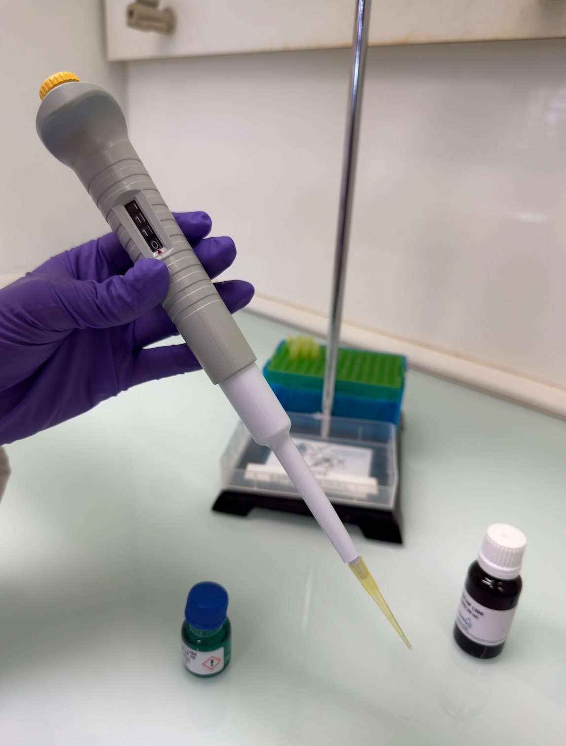 Complete Starter Watch Oil Kit : Moebius 9010 + 9104 (HP1300) + Molykote DX